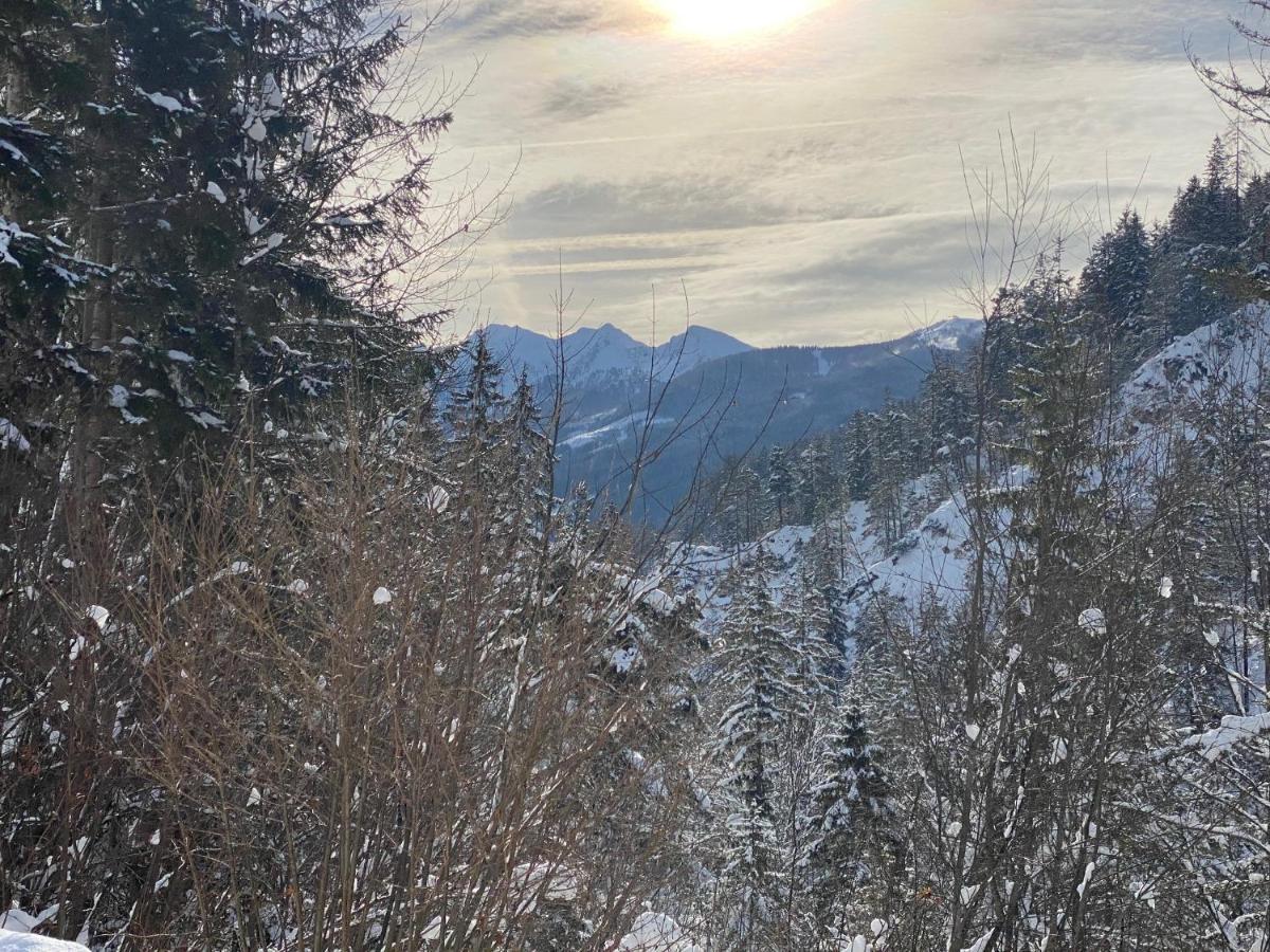 Appartement Steinfisch Ramsau am Dachstein Zewnętrze zdjęcie