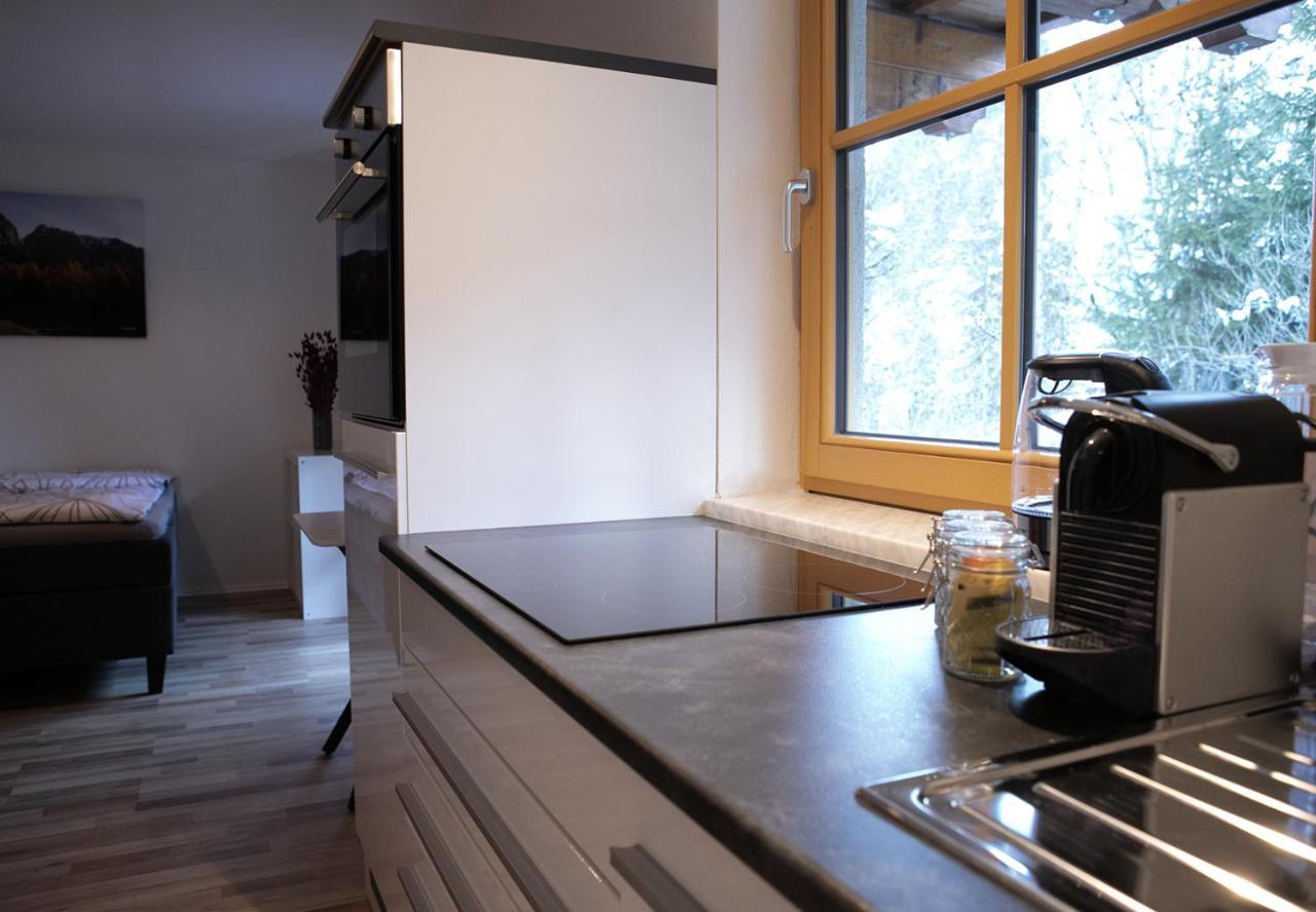 Appartement Steinfisch Ramsau am Dachstein Zewnętrze zdjęcie