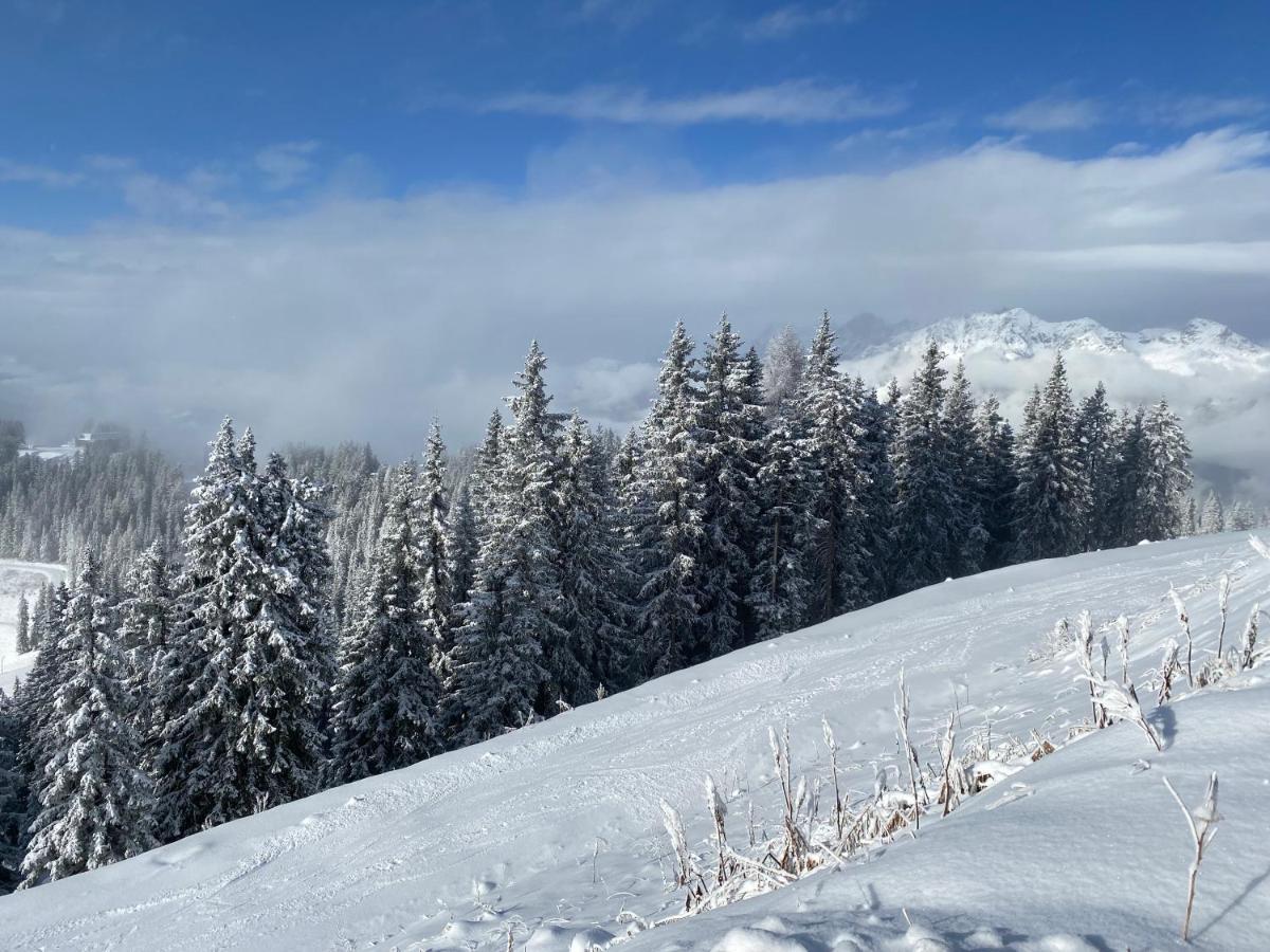 Appartement Steinfisch Ramsau am Dachstein Zewnętrze zdjęcie