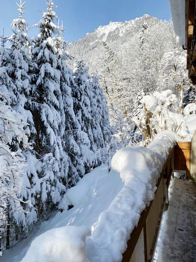 Appartement Steinfisch Ramsau am Dachstein Zewnętrze zdjęcie
