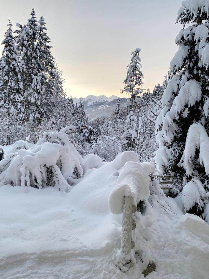Appartement Steinfisch Ramsau am Dachstein Zewnętrze zdjęcie