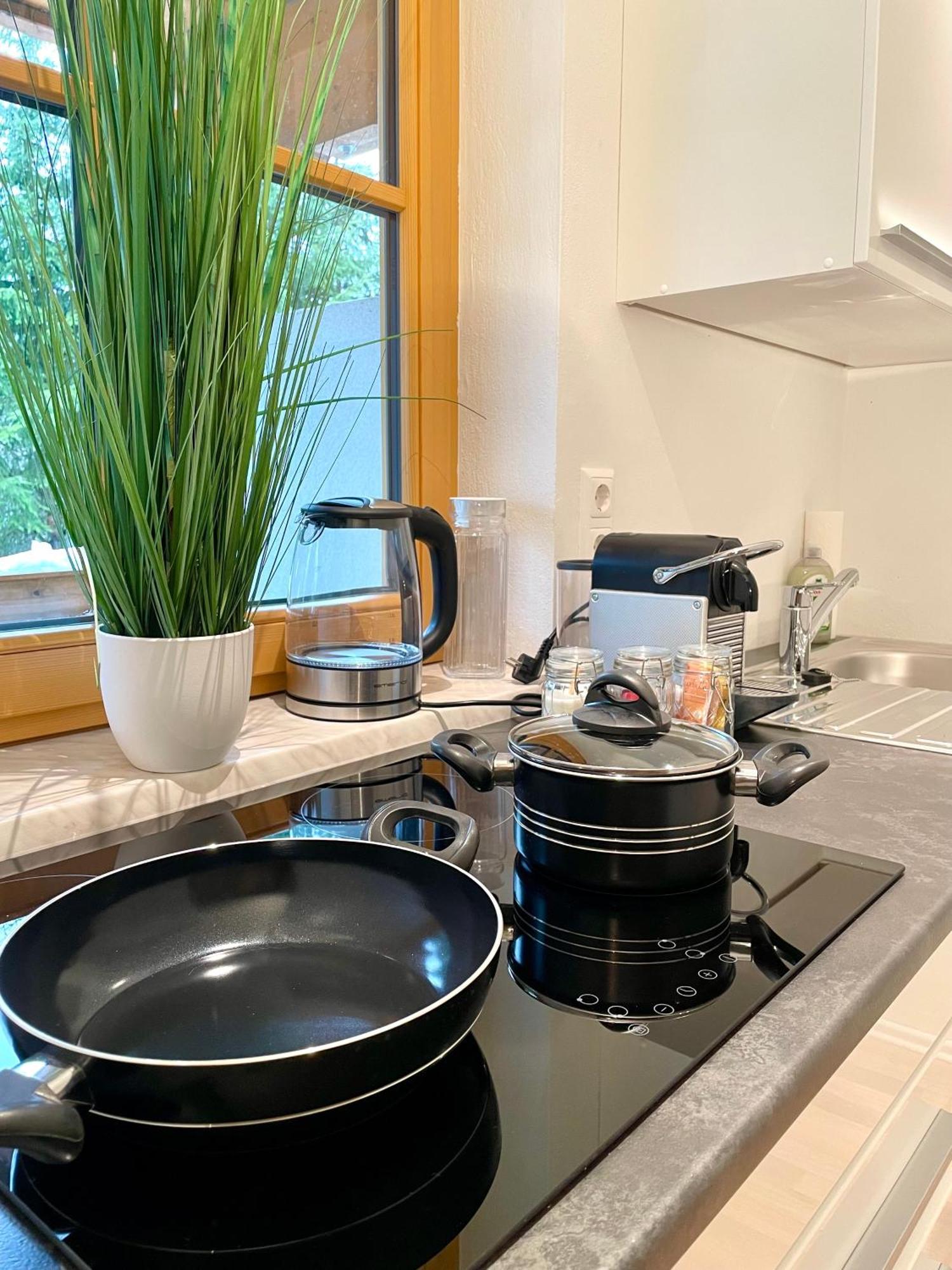 Appartement Steinfisch Ramsau am Dachstein Zewnętrze zdjęcie