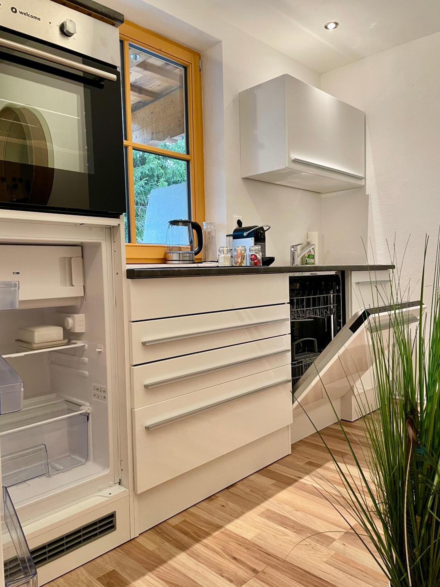 Appartement Steinfisch Ramsau am Dachstein Zewnętrze zdjęcie