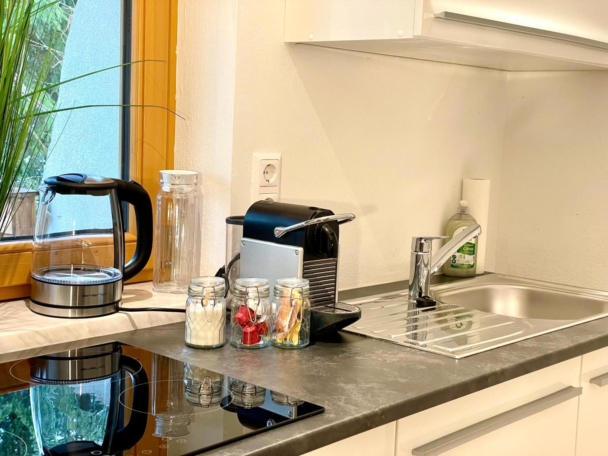 Appartement Steinfisch Ramsau am Dachstein Zewnętrze zdjęcie